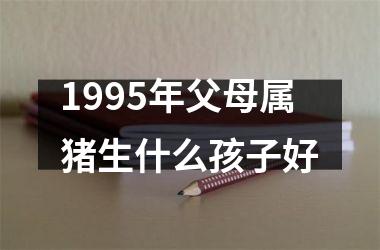 1995年父母属猪生什么孩子好