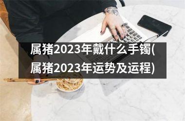 属猪2023年戴什么手镯(属猪2023年运势及运程)