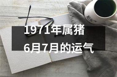 1971年属猪6月7月的运气