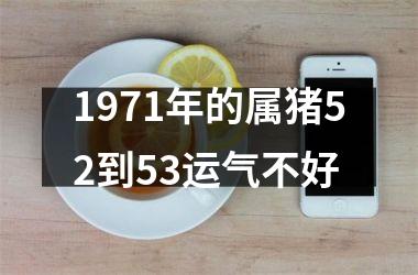 1971年的属猪52到53运气不好