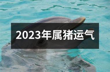 2025年属猪运气