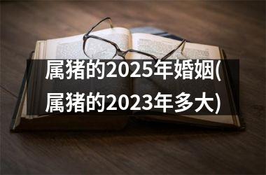 属猪的2025年婚姻(属猪的2025年多大)