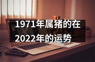 1971年属猪的在2025年的运势
