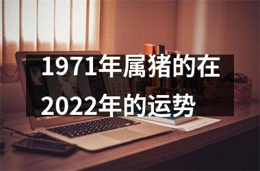 1971年属猪的在2022年的运势