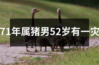 71年属猪男52岁有一灾