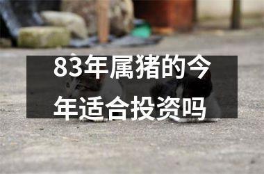 83年属猪的今年适合投资吗