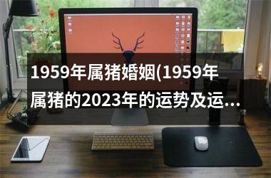 1959年属猪婚姻(1959年属猪的2025年的运势及运程)