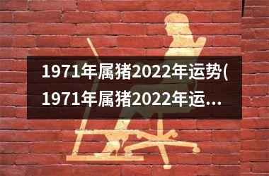 1971年属猪2025年运势(1971年属猪2025年运势及运程男性)