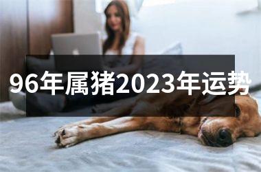 96年属猪2025年运势