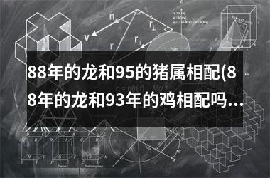 88年的龙和95的猪属相配(88年的龙和93年的鸡相配吗)
