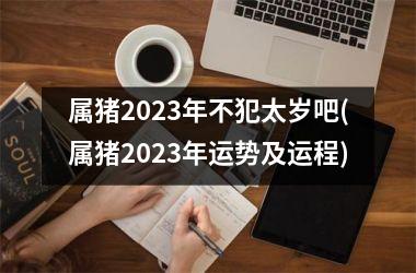 <h3>属猪2023年不犯太岁吧(属猪2023年运势及运程)