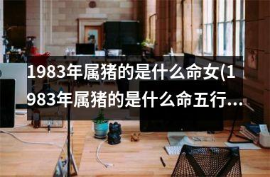 1983年属猪的是什么命女(1983年属猪的是什么命五行属什么)