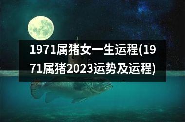 1971属猪女一生运程(1971属猪2025运势及运程)