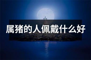 <h3>属猪的人佩戴什么好