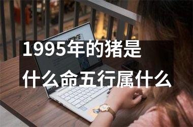 1995年的猪是什么命五行属什么