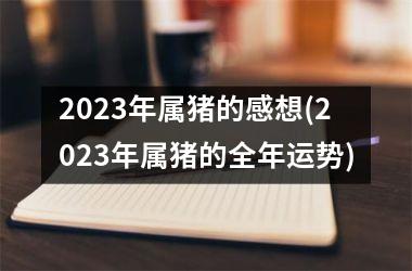 2025年属猪的感想(2025年属猪的全年运势)