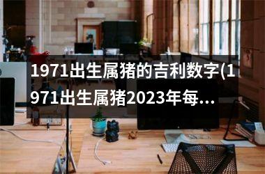 1971出生属猪的吉利数字(1971出生属猪2025年每月运程)