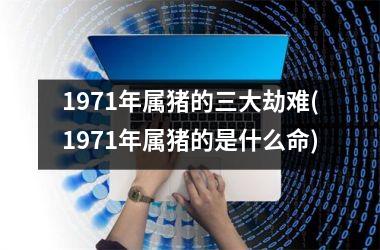 1971年属猪的三大劫难(1971年属猪的是什么命)