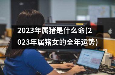 2023年属猪是什么命(2023年属猪女的全年运势)