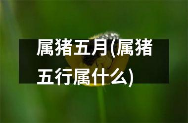 属猪五月(属猪五行属什么)
