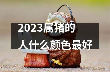 2025属猪的人什么颜色最好