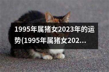 1995年属猪女2025年的运势(1995年属猪女2025年的运势和婚姻)