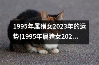 1995年属猪女2023年的运势(1995年属猪女2023年的运势和婚姻)