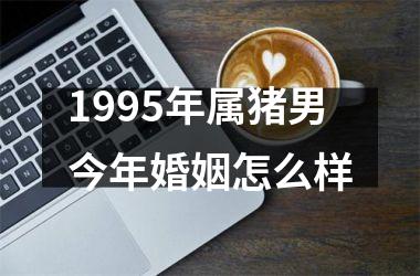 1995年属猪男今年婚姻怎么样