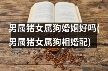 男属猪女属狗婚姻好吗(男属猪女属狗相婚配)