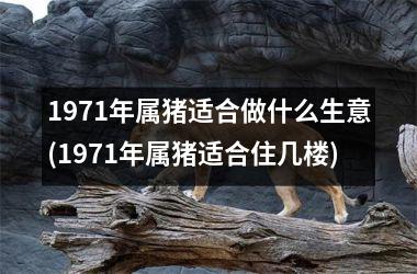 1971年属猪适合做什么生意(1971年属猪适合住几楼)