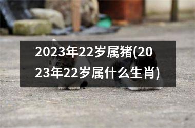 <h3>2023年22岁属猪(2023年22岁属什么生肖)