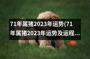 71年属猪2023年运势(71年属猪2023年运势及运程每月运程)