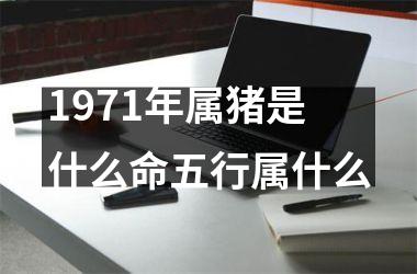 1971年属猪是什么命五行属什么