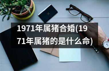 1971年属猪合婚(1971年属猪的是什么命)