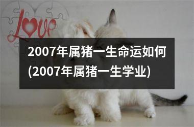 2007年属猪一生命运如何(2007年属猪一生学业)