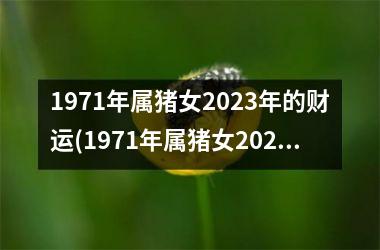 1971年属猪女2025年的财运(1971年属猪女2025年运势及运程)