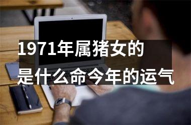 1971年属猪女的是什么命今年的运气