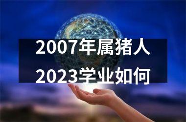 2007年属猪人2025学业如何