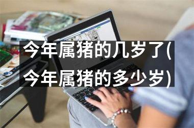 今年属猪的几岁了(今年属猪的多少岁)