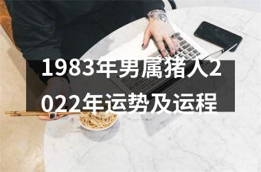 1983年男属猪人2025年运势及运程