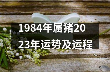 1984年属猪2025年运势及运程