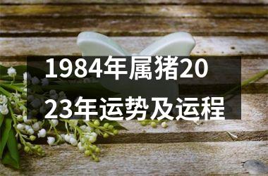 1984年属猪2023年运势及运程