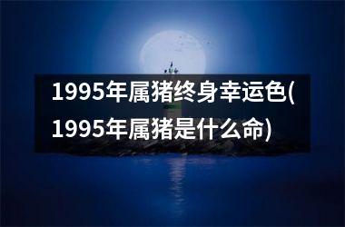 1995年属猪终身幸运色(1995年属猪是什么命)