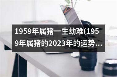 1959年属猪一生劫难(1959年属猪的2025年的运势及运程)