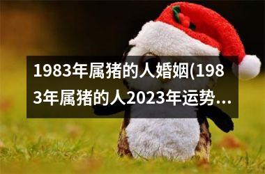 1983年属猪的人婚姻(1983年属猪的人2025年运势及运程)