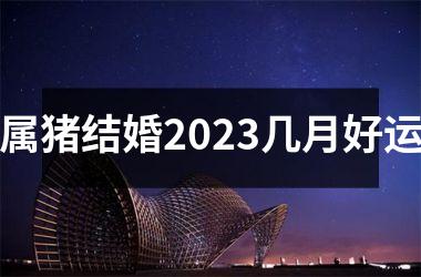 属猪结婚2025几月好运