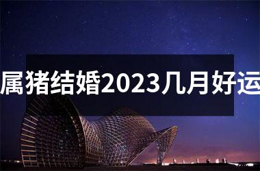 属猪结婚2023几月好运