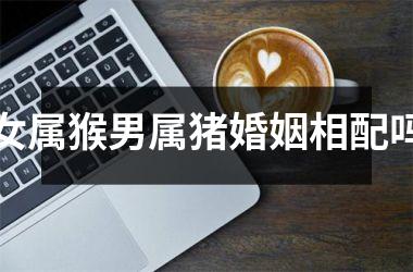 女属猴男属猪婚姻相配吗