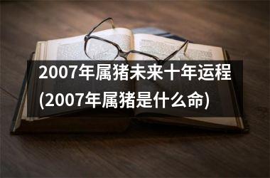 2007年属猪未来十年运程(2007年属猪是什么命)