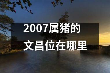 <h3>2007属猪的文昌位在哪里